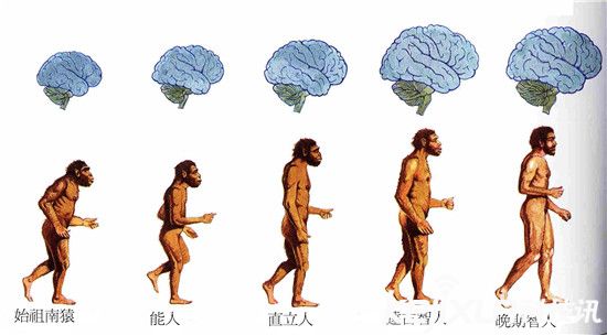 为何不可能是外星人造人838 / 作者:UFO爱好者 / 帖子ID:79213