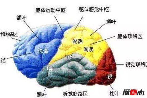 人类被隐瞒的惊人真相，地球是个监狱，人类早已被操控229 / 作者:UFO爱好者 / 帖子ID:104113