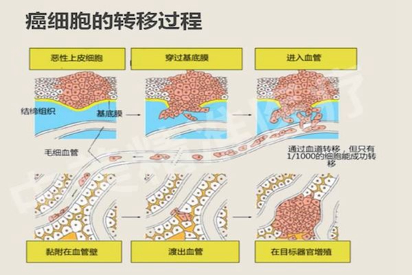 癌细胞是否可以让人永生？癌症其实是保护人类物种完整性554 / 作者:UFO爱好者 / 帖子ID:104055