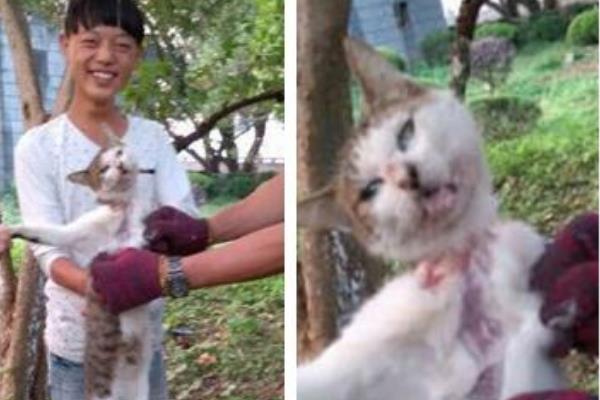 10·15浙江活剥小猫事件处理结果:女子活剥猫皮(笑容满面)306 / 作者:UFO爱好者 / 帖子ID:100756