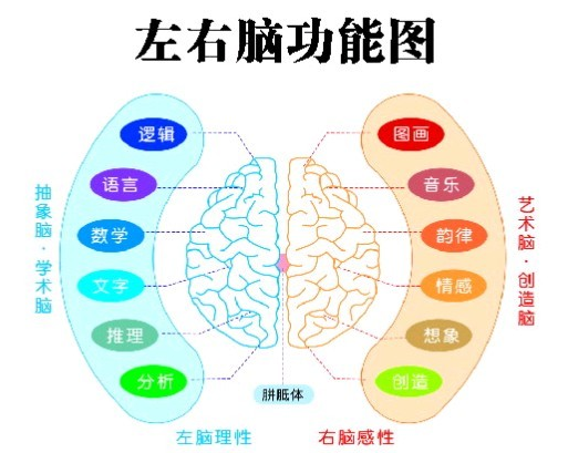 大脑的奥秘，科学揭秘人类大脑如何一心二用!73 / 作者:UFO爱好者 / 帖子ID:72160