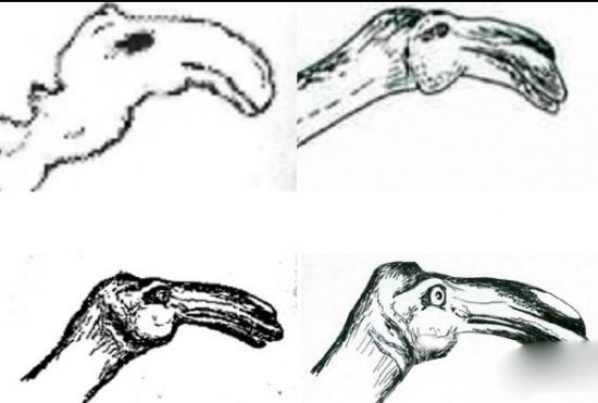 卡布罗龙,世界真实存在水怪31 / 作者:UFO爱好者 / 帖子ID:77659