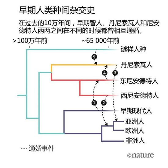 尼安德特人和智人有没有后代?白黄种人体内有的尼安德特人基因52 / 作者:UFO爱好者 / 帖子ID:78048