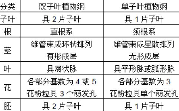 单子叶植物与双子叶植物的区别，胚、根、茎、叶、花各不同565 / 作者:UFO爱好者 / 帖子ID:91491