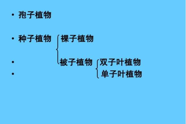 单子叶植物与双子叶植物的区别，胚、根、茎、叶、花各不同252 / 作者:UFO爱好者 / 帖子ID:91491