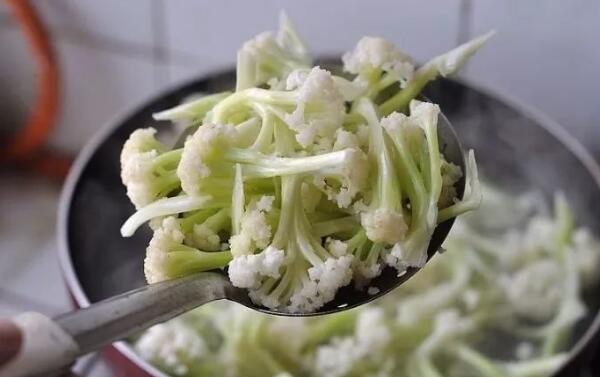 菜花需要焯水吗，需掉水（菜花更鲜艳/缩短烹饪时间）875 / 作者:UFO爱好者 / 帖子ID:88346