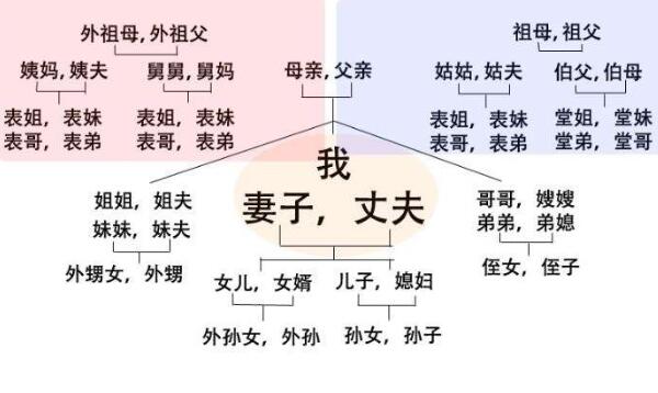 亲威是什么意思，与自己有血亲和姻亲的人（配偶/姻亲/血亲）246 / 作者:UFO爱好者 / 帖子ID:83646