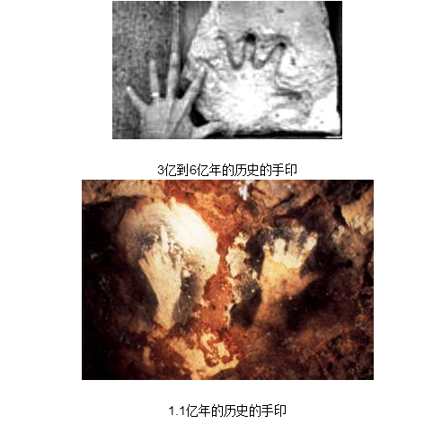 800年前手机出土 外星人存在的铁证曝光362 / 作者:UFO爱好者 / 帖子ID:80976