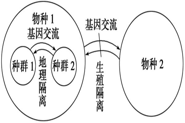 进化论十大漏洞有哪些 进化论这些漏洞可以解释吗770 / 作者:UFO爱好者 / 帖子ID:102732