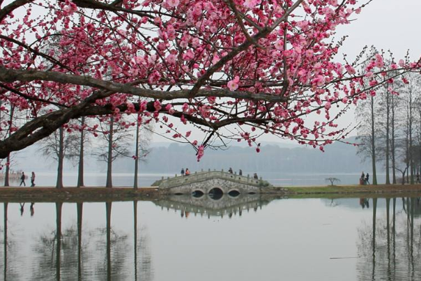 冬天适合去哪里旅游?东湖赏梅，哈尔滨滑雪(尝大锅炖)829 / 作者:UFO爱好者 / 帖子ID:79329