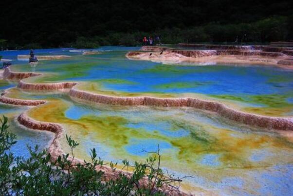 钙华地貌的成因:碳酸钙沉积作用，需生物参与(万年岁月)584 / 作者:UFO爱好者 / 帖子ID:79114