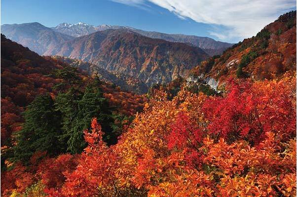 日本三大灵山:富士山第一，立山浓郁硫磺味(白山是火山)860 / 作者:UFO爱好者 / 帖子ID:77975