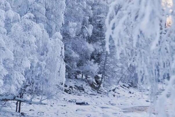 “王炸级”寒潮又发威:威海积雪20厘米，广东最低温-5℃256 / 作者:UFO爱好者 / 帖子ID:76234