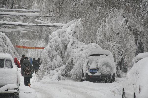 如何应对雪灾?建立草料库，时刻关注气候预警(机械除雪)151 / 作者:UFO爱好者 / 帖子ID:76235