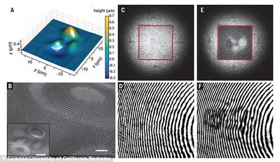 科学家让隐形离我们越来越近339 / 作者:UFO爱好者 / 帖子ID:73937