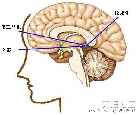 999个世界未解之谜（8）701-789谜333 / 作者:UFO爱好者 / 帖子ID:83400