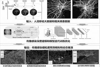 大数据分析平台为疫情防控保驾护航547 / 作者:UFO爱好者 / 帖子ID:69430